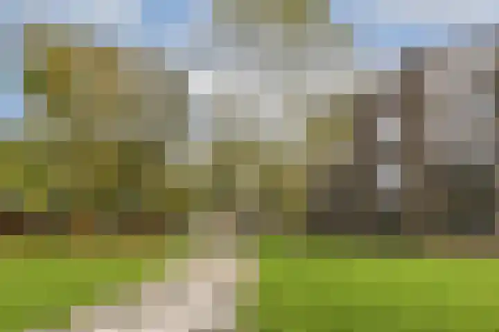 Funenpark 325 Amsterdam thumbnail 14