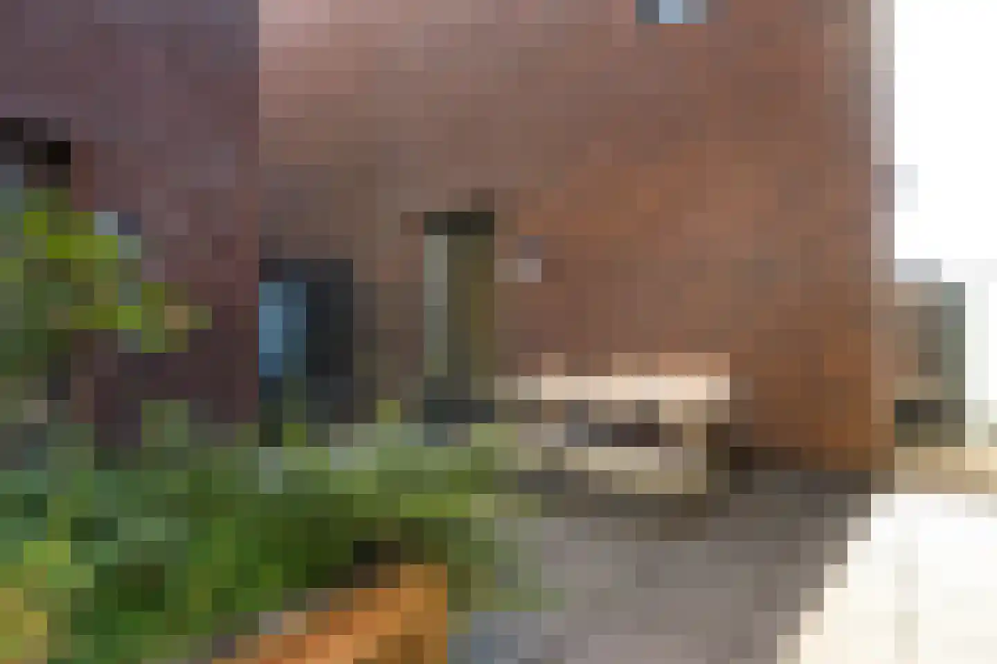 Funenpark 396 Amsterdam thumbnail 34