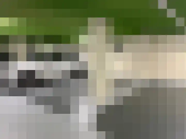 Funenpark 512 Amsterdam thumbnail 26