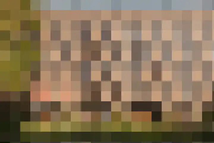 Funenpark 97 Amsterdam thumbnail 18