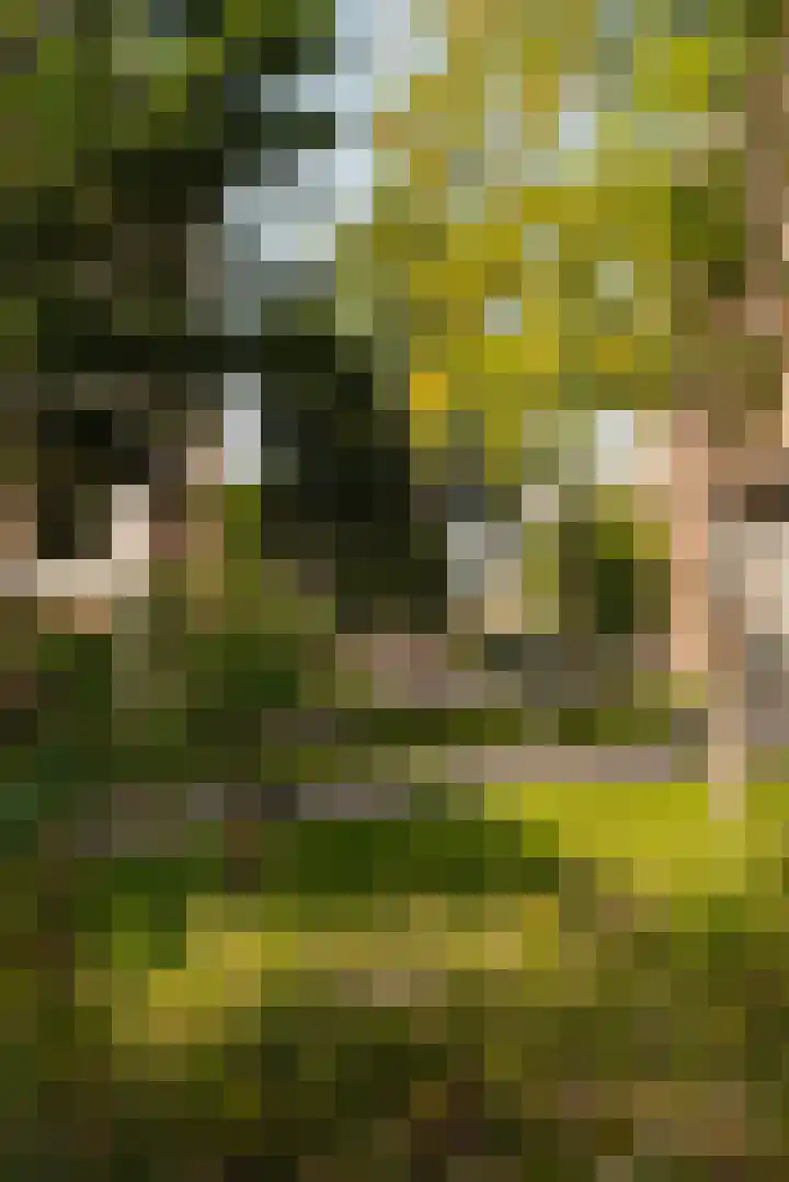 Funenpark 97 Amsterdam thumbnail 20
