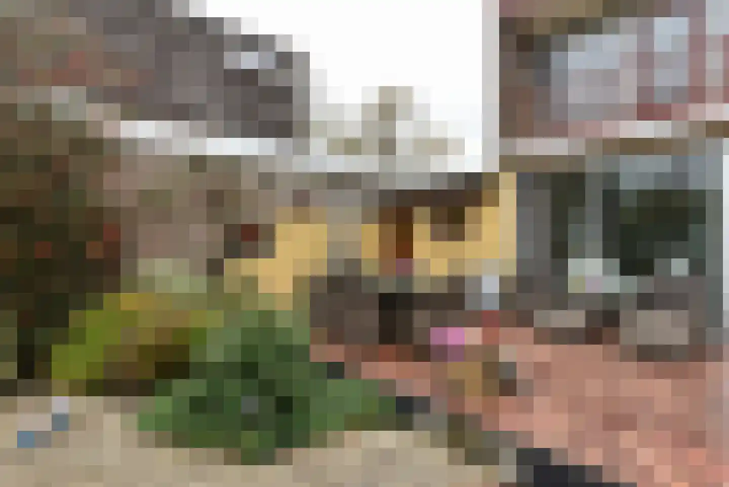 Funke Küpperstraat 29 Amsterdam thumbnail 17