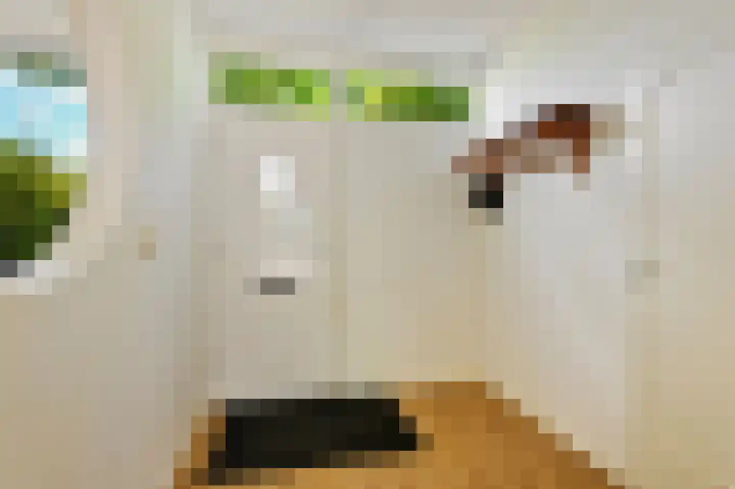 Funke Küpperstraat 67 Amsterdam thumbnail 5