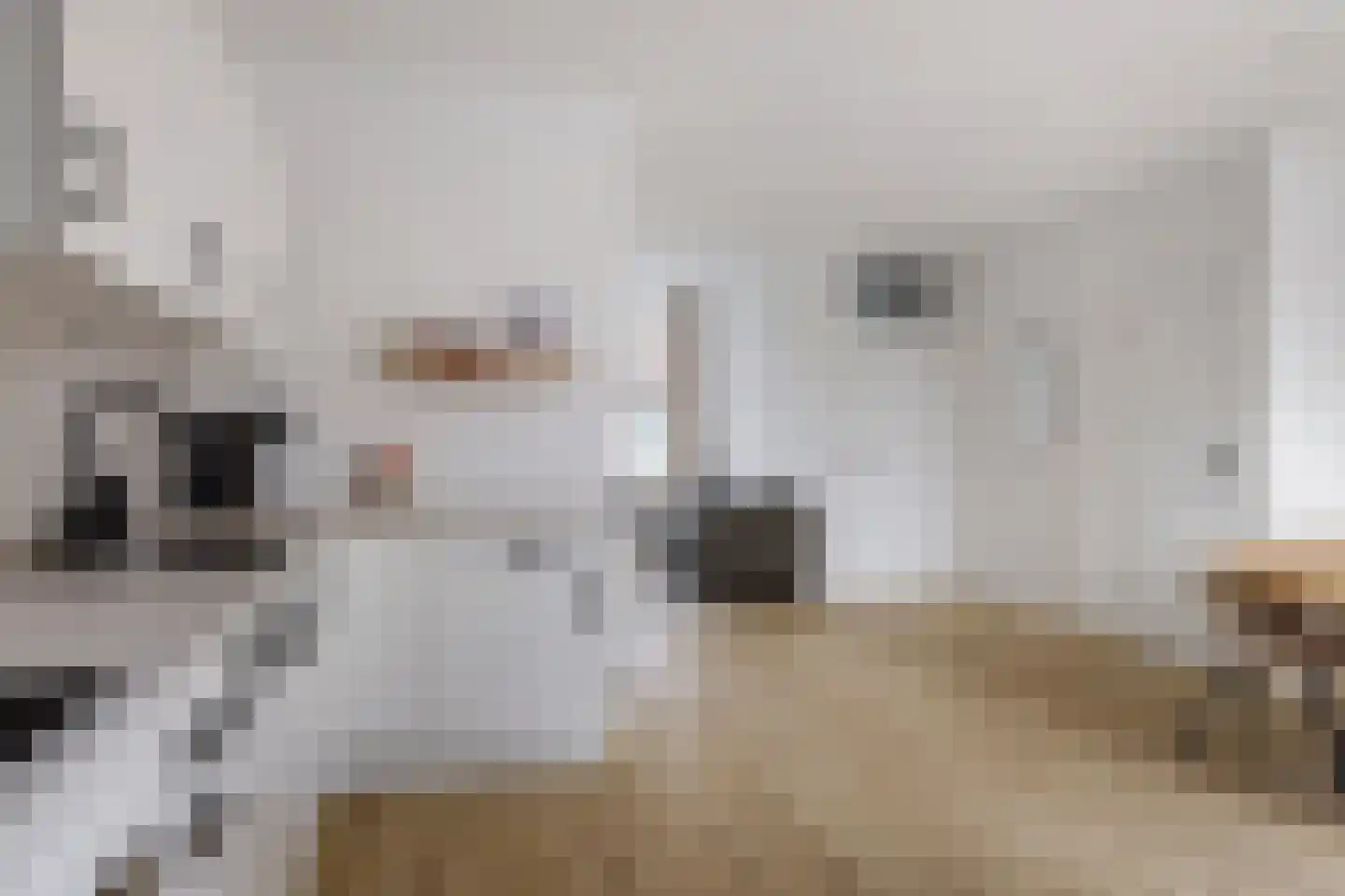 Fuormanderij 10 Dronryp thumbnail 13