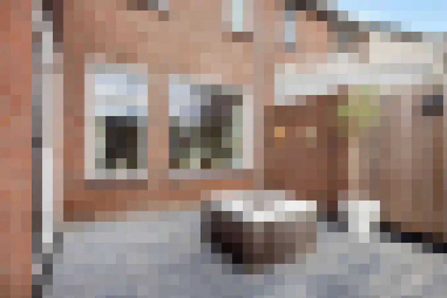 Fuormanderij 10 Dronryp thumbnail 20