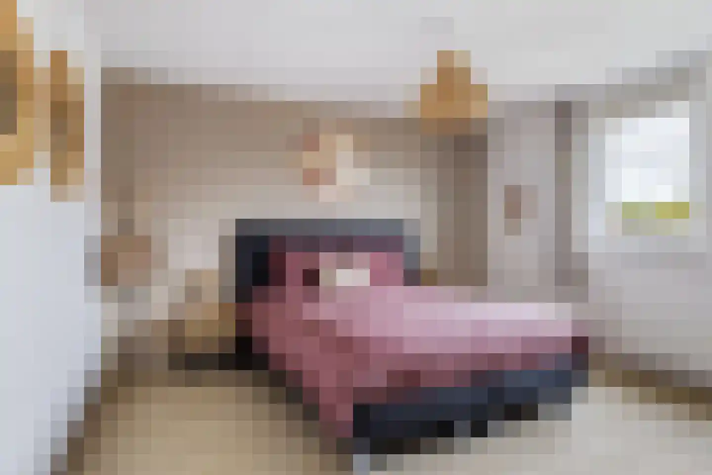 Fuormanderij 10 Dronryp thumbnail 26