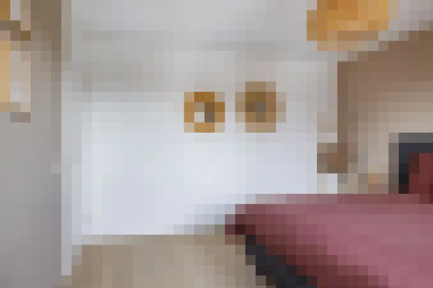 Fuormanderij 10 Dronryp thumbnail 27