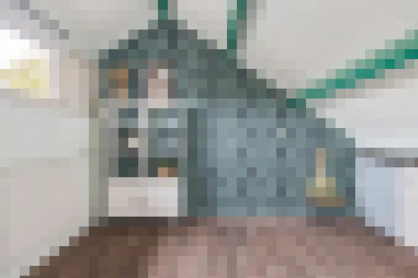 Fuormanderij 10 Dronryp thumbnail 37
