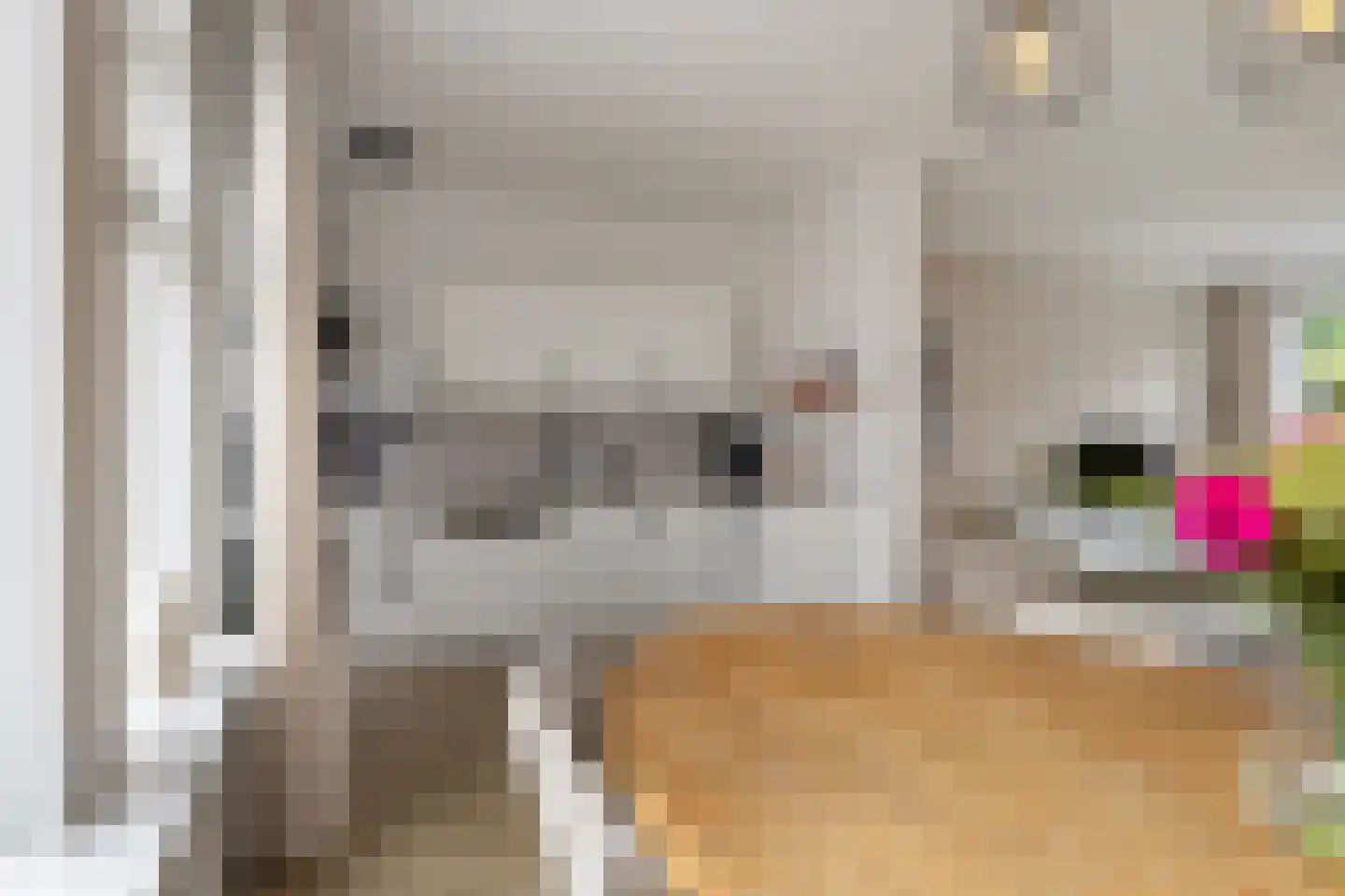 Fuormanderij 10 Dronryp thumbnail 9