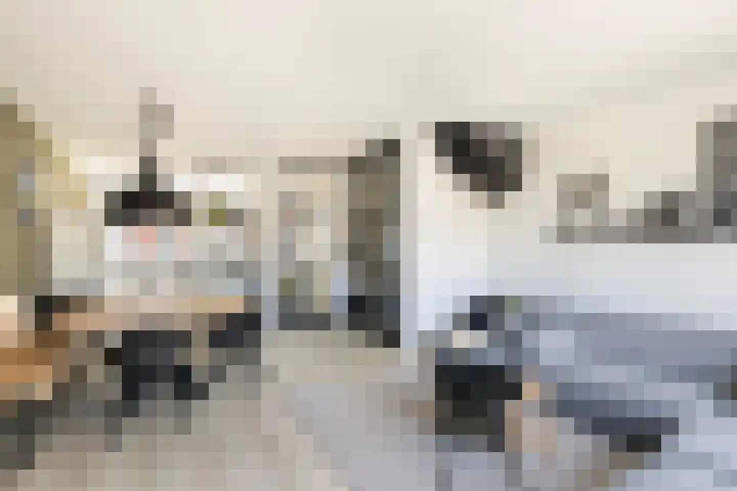 Furie 16 Maassluis thumbnail 19