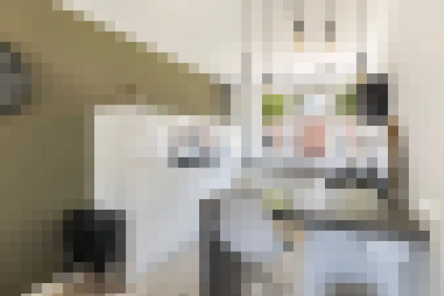 Furie 16 Maassluis thumbnail 22