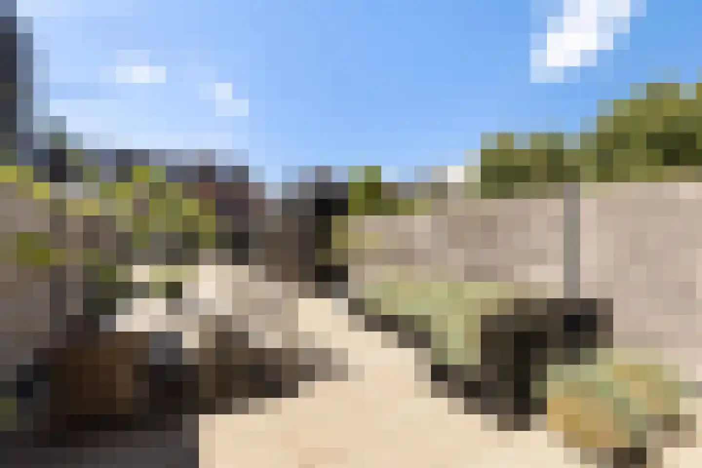 Furie 16 Maassluis thumbnail 4