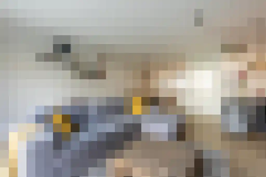 Furie 20 Maassluis thumbnail 5