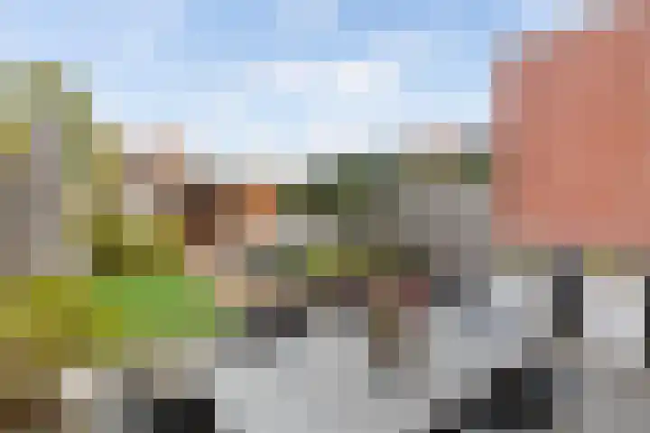 Furie 4 Maassluis thumbnail 15