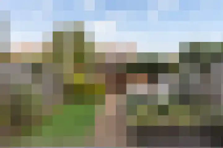 Furie 4 Maassluis thumbnail 16