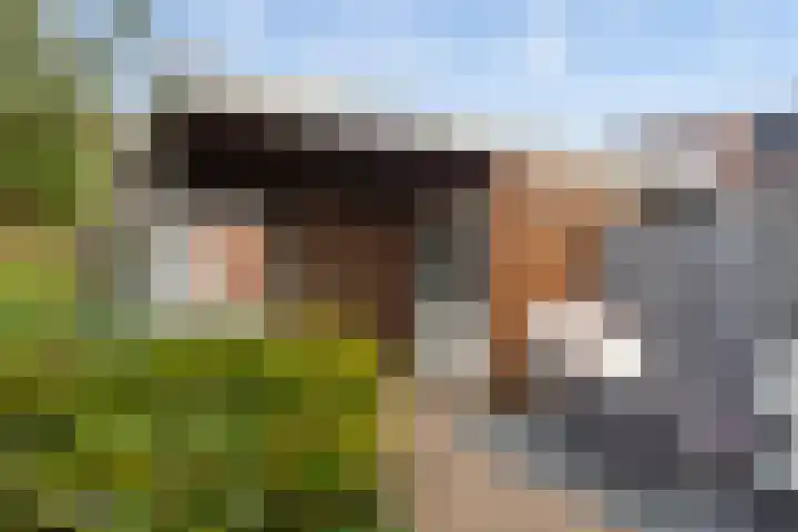 Furie 4 Maassluis thumbnail 17