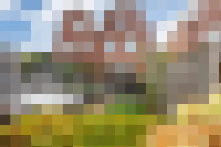 Furie 4 Maassluis thumbnail 18