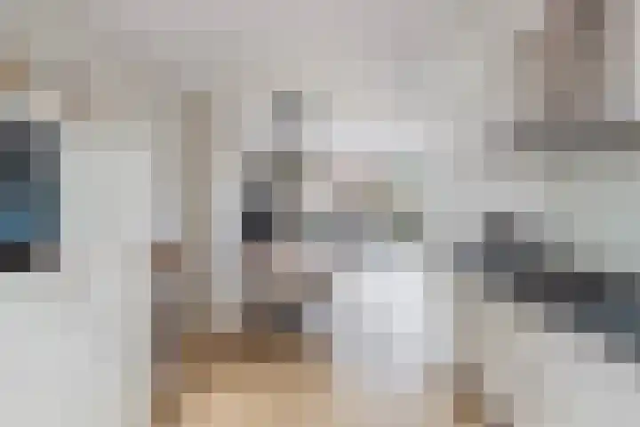 Furie 4 Maassluis thumbnail 20
