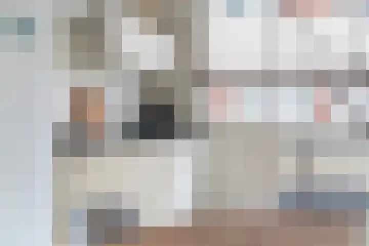 Furie 4 Maassluis thumbnail 21