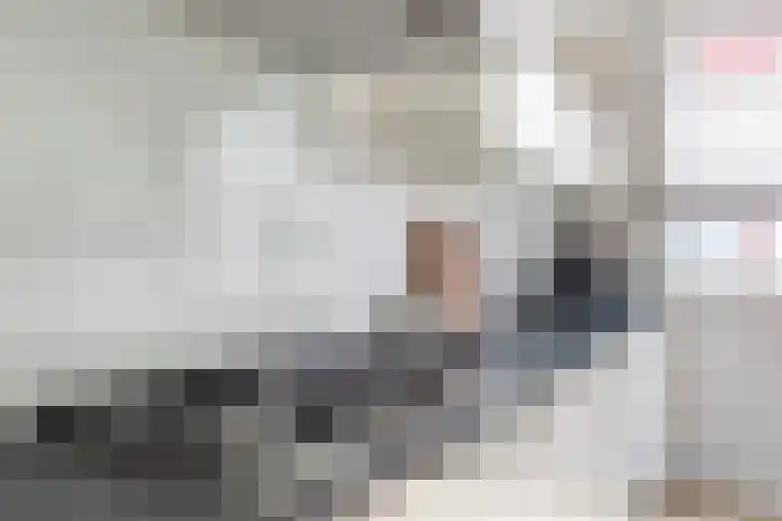 Furie 4 Maassluis thumbnail 23