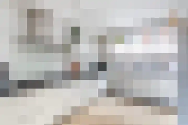 Furie 4 Maassluis thumbnail 24