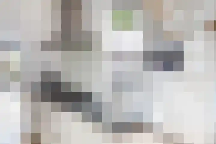 Furie 4 Maassluis thumbnail 25