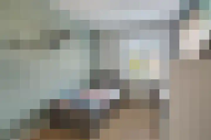 Furie 4 Maassluis thumbnail 29
