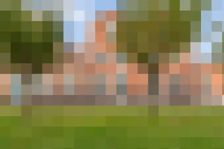 Furie 4 Maassluis thumbnail 4