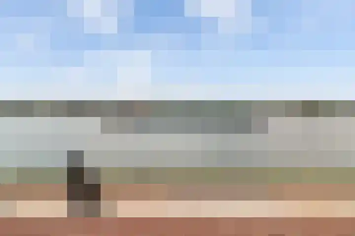 Furie 4 Maassluis thumbnail 44