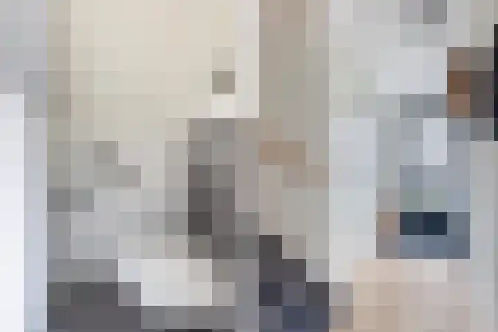 Furie 4 Maassluis thumbnail 8
