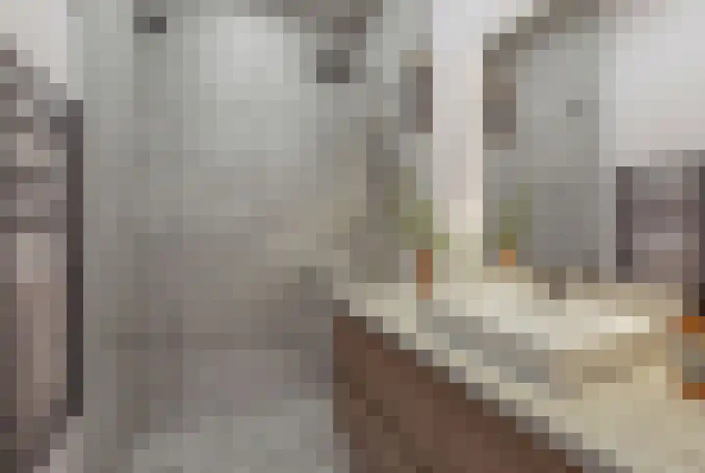 Furkabaan 629 Utrecht thumbnail 13