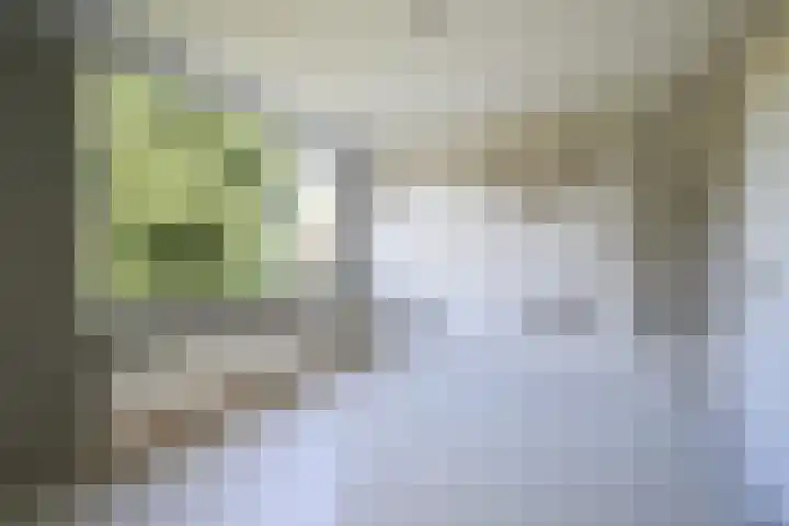 Furkabaan 645 Utrecht thumbnail 13