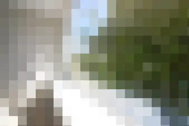 Furkabaan 645 Utrecht thumbnail 6