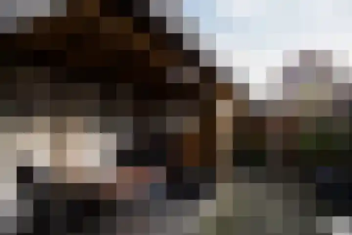 Furkabaan 648 Utrecht thumbnail 26