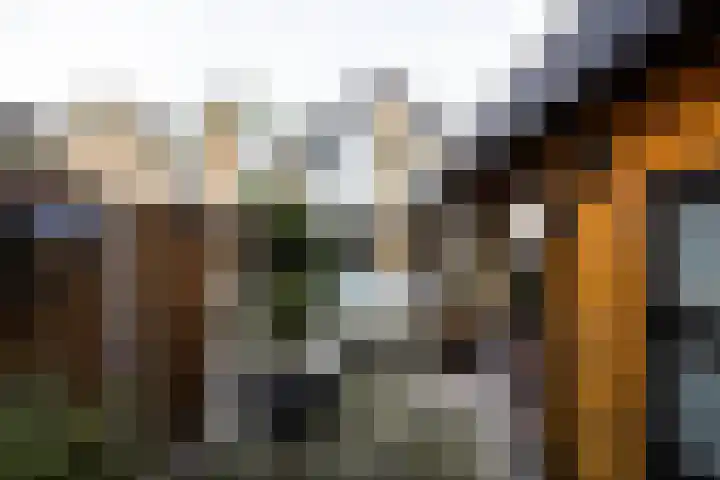 Furkabaan 648 Utrecht thumbnail 29