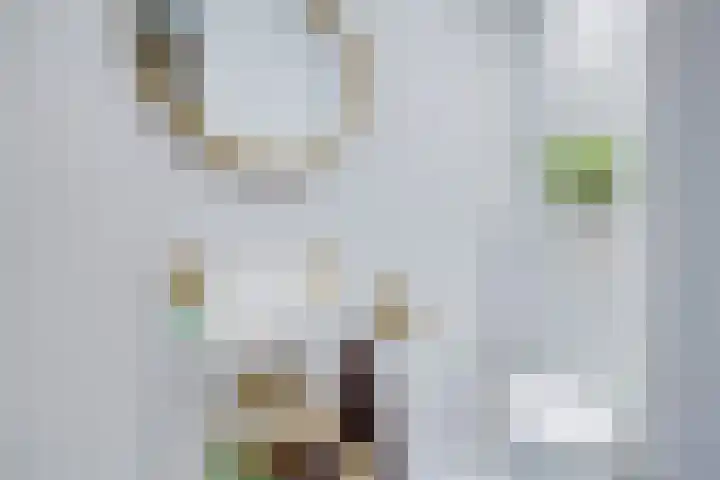 Furkabaan 648 Utrecht thumbnail 33
