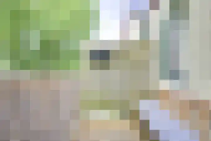 Furkabaan 699 Utrecht thumbnail 12