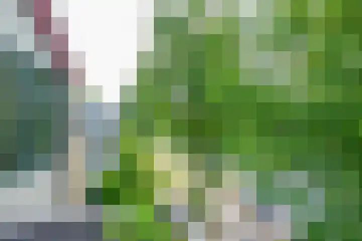 Furkabaan 699 Utrecht thumbnail 13