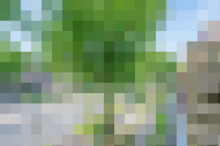 Furkabaan 699 Utrecht thumbnail 14
