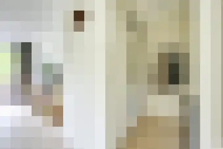 Furkabaan 699 Utrecht thumbnail 5