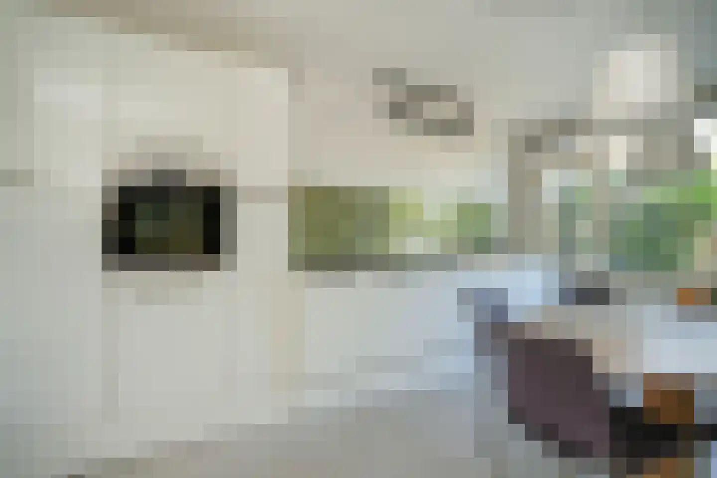 Furkabaan 744 Utrecht thumbnail 11
