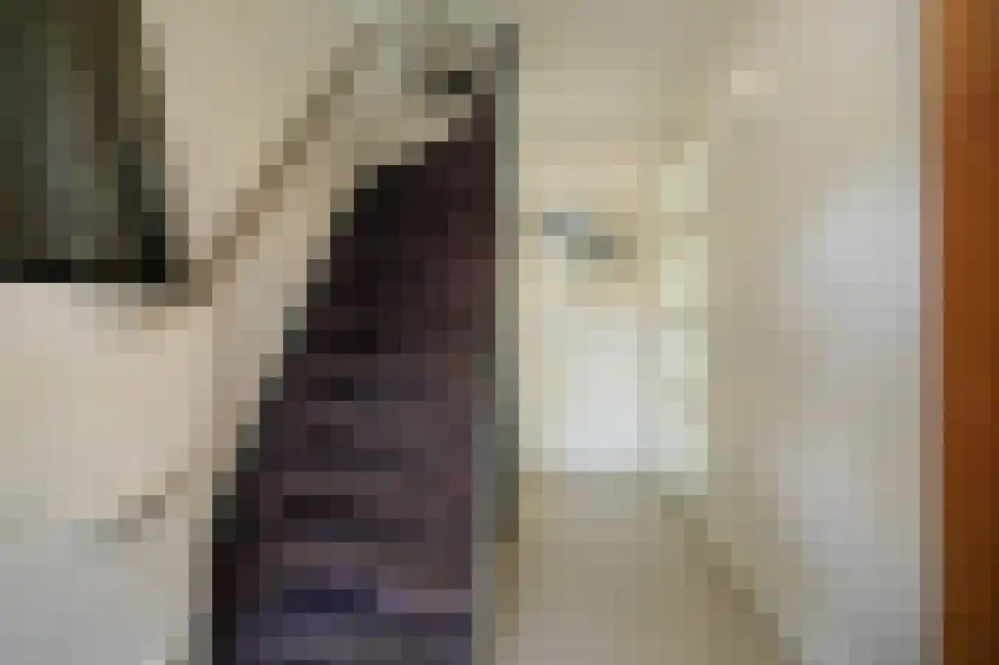 Furkabaan 744 Utrecht thumbnail 16