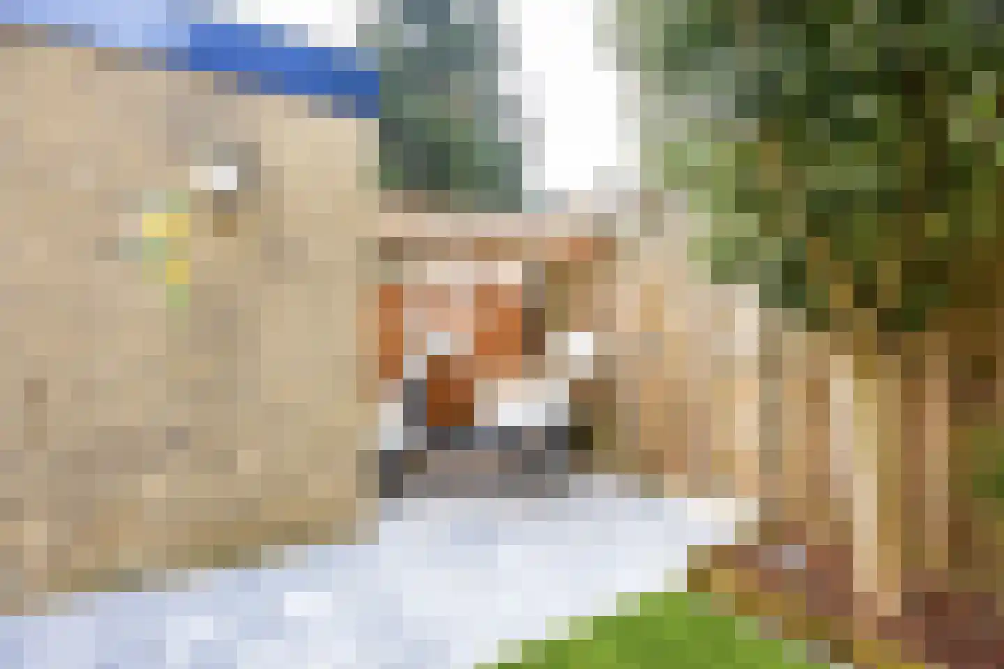 Furkabaan 810 Utrecht thumbnail 14