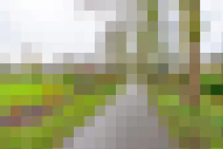 Furkabaan 812 Utrecht thumbnail 27