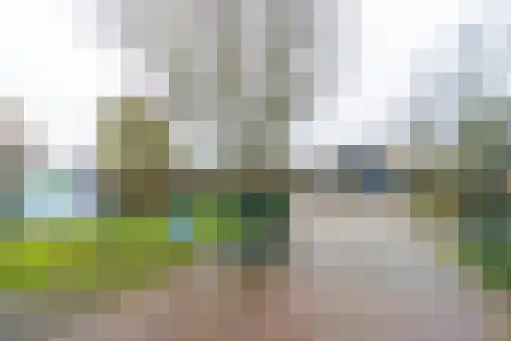 Furkabaan 812 Utrecht thumbnail 28