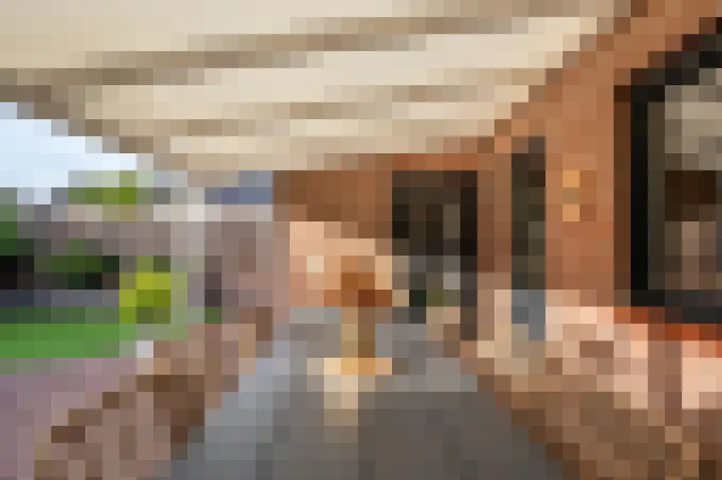 Fürstenbergstraat 99 Sevenum thumbnail 41