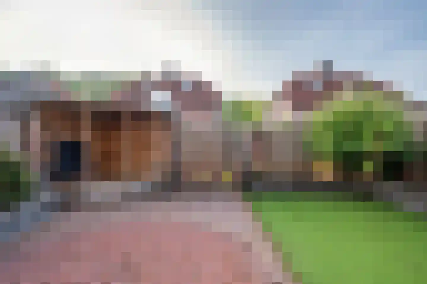 Fürstenbergstraat 99 Sevenum thumbnail 42