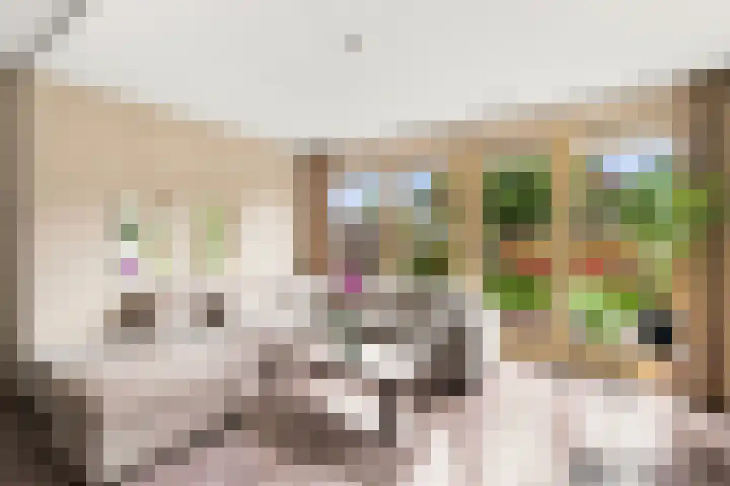 Futenhorst 22 Grave thumbnail 13