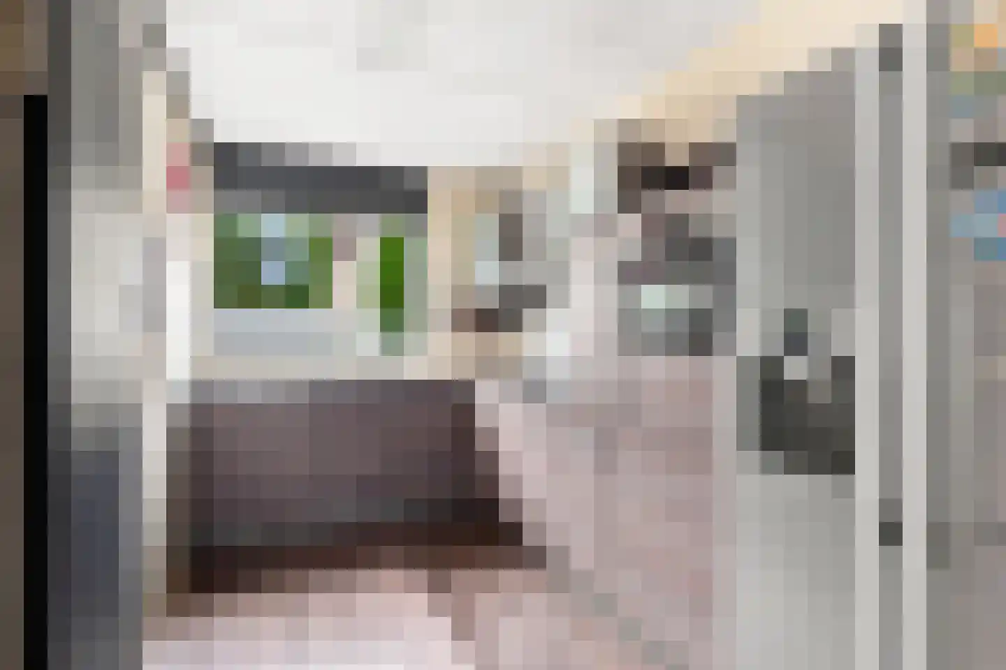 Futenhorst 22 Grave thumbnail 17