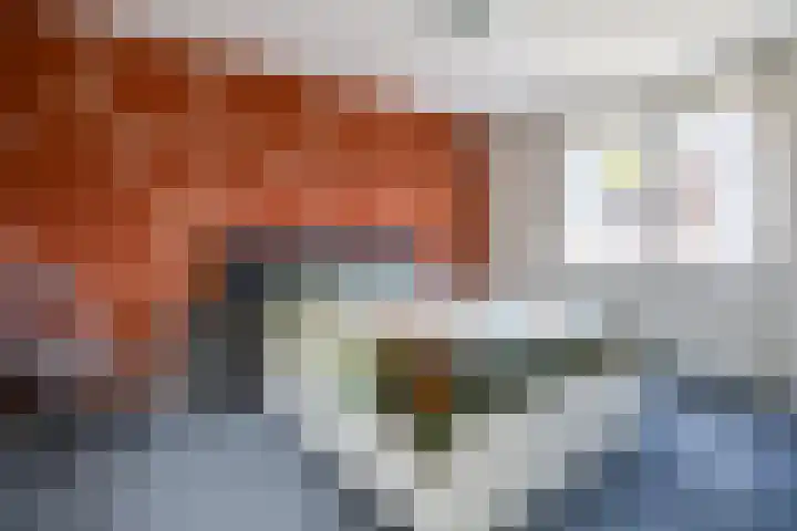 Futenhorst 39 Grave thumbnail 13